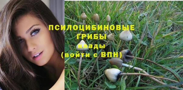таблы Богданович